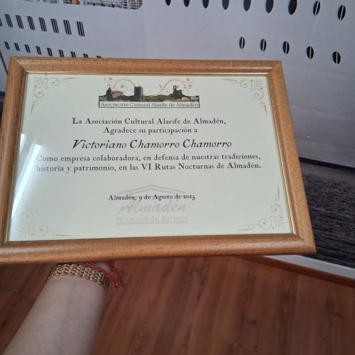 reconocimiento alarife1